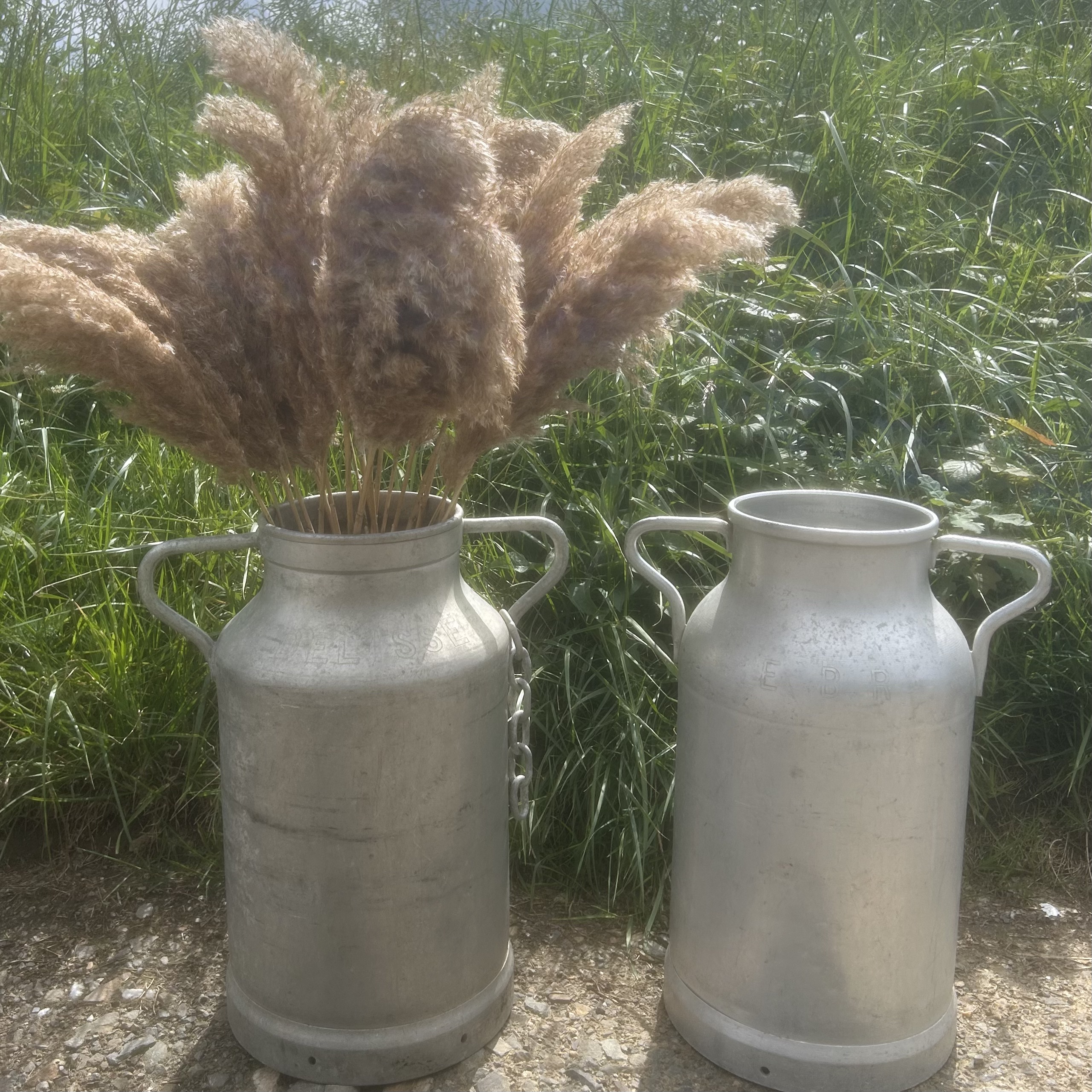 pot à lait pampa 2