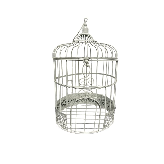 Cage-a-oiseau-grand