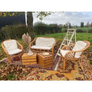 salon avec tapis et salon matelassé, escabeau, pampas et table basse décoration