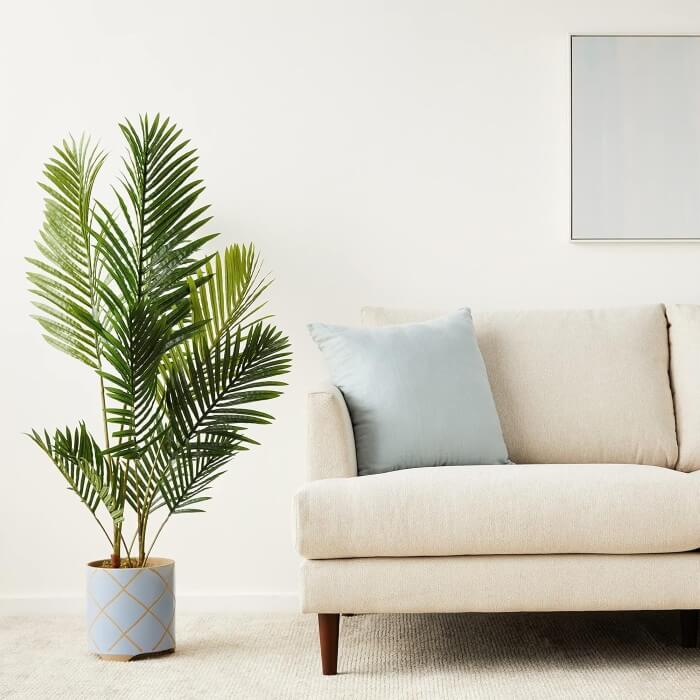 plante-verte-evenementielle-palmier
