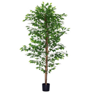 Plante artificielle Ficus en location à Rennes