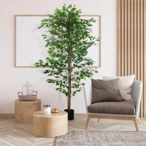 Location de plantes géantes pour salons en Bretagne