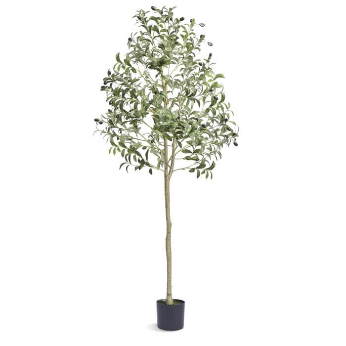 plante-verte-olivier-150-cm