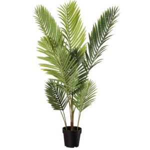 Plante verte géante en location à Rennes