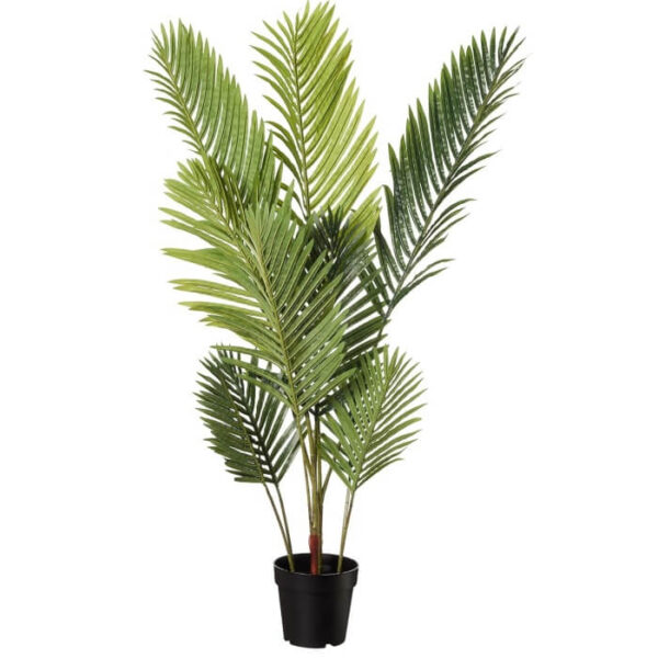 plante-verte-palmier-120-cm Plante verte géante en location à Rennes
